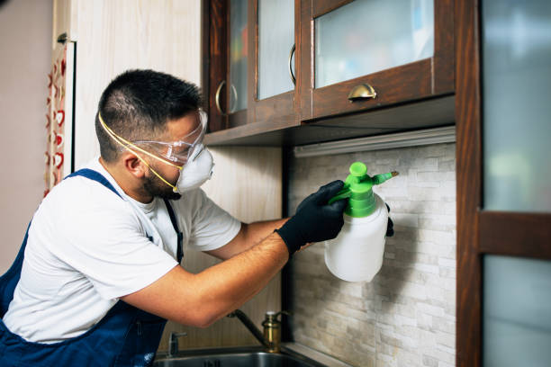 Best Flea Control Services  in Strawberry Plains, TN