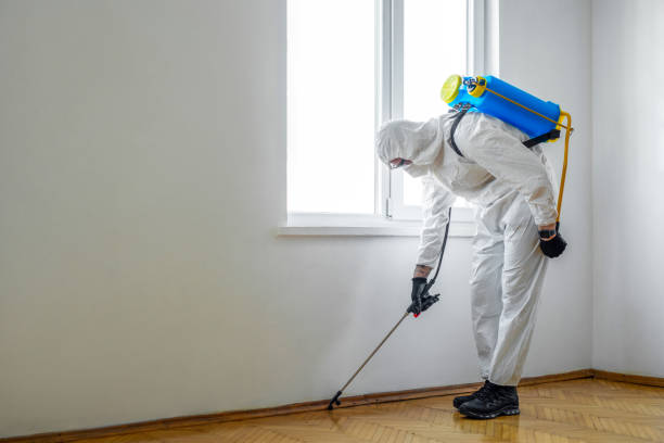 Best Mosquito Control Services  in Strawberry Plains, TN