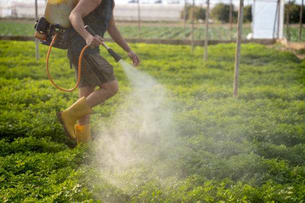 Best Wildlife Control Services  in Strawberry Plains, TN
