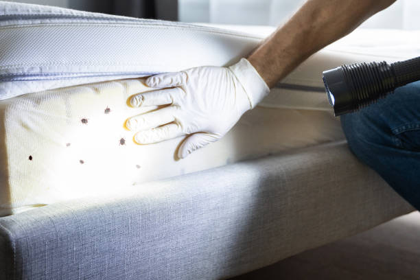 Best Pest Removal Services  in Strawberry Plains, TN