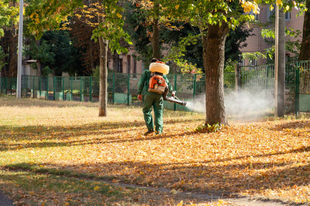 Trusted Strawberry Plains, TN Pest Control Experts