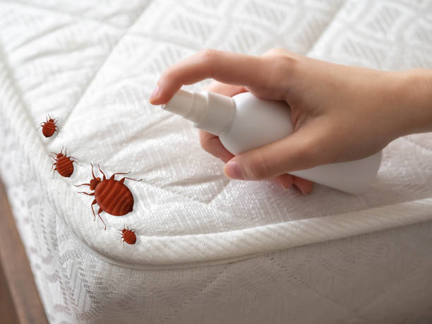 Strawberry Plains, TN Pest Control Company