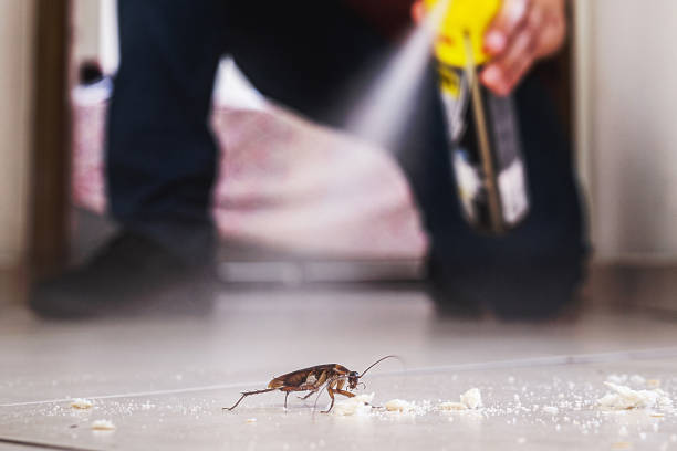 Best Residential Pest Control  in Strawberry Plains, TN